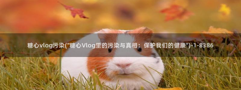 糖心vlog雷姆