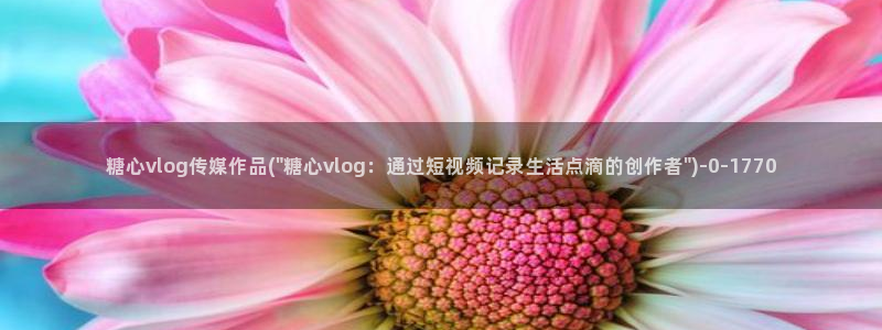 糖心vlog版本ios