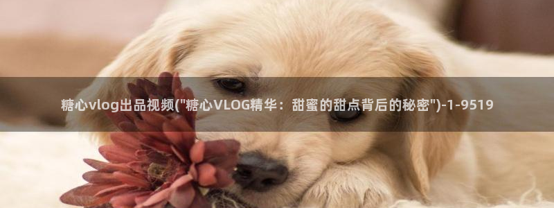 糖心vlog女模特