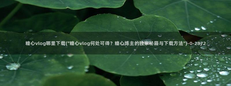 糖心短视频