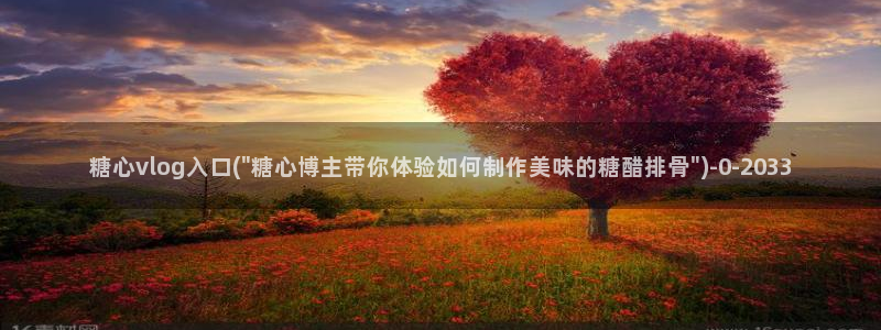 糖心vlog下