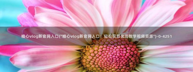 糖心vlog官网在线观看