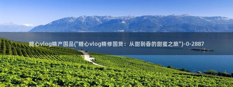 糖心vlog破解版无付费