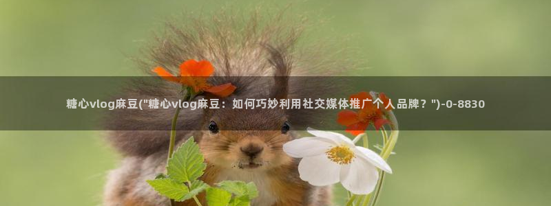 糖心vlog在线看