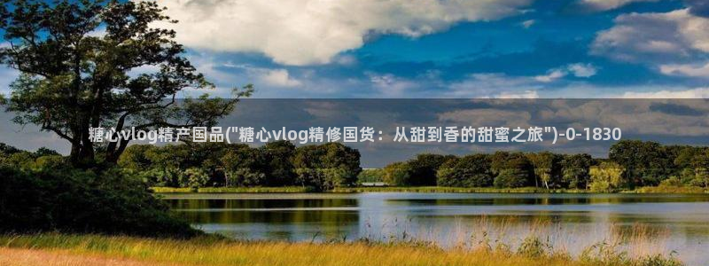 糖心vlog高清免费