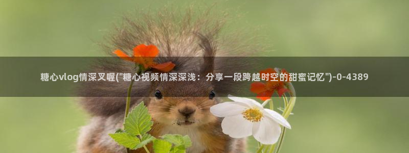 糖心vlog苹果版