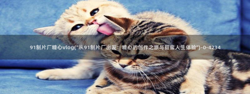 糖心vlog视频在线观看：91制片厂糖心vlog(\