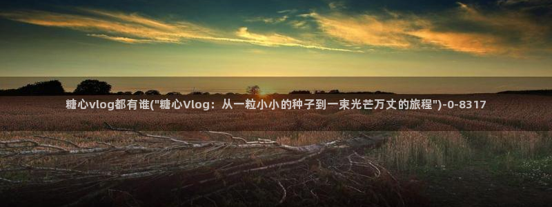 糖心vlog兑换码领取