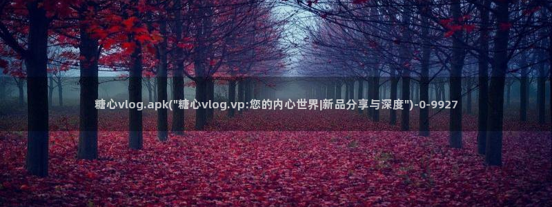 .糖心vlog