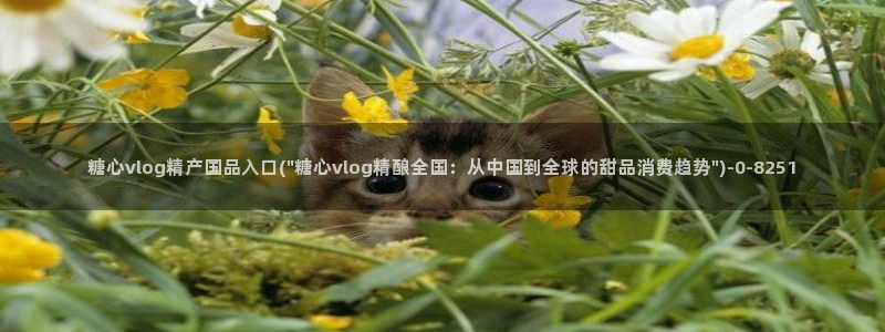 糖心vlog.com